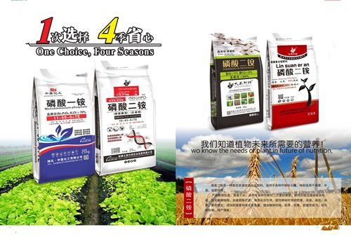 化肥农资店服务至上 连接丰收与信任的桥梁