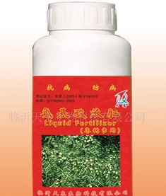 枣树施肥的科学指南