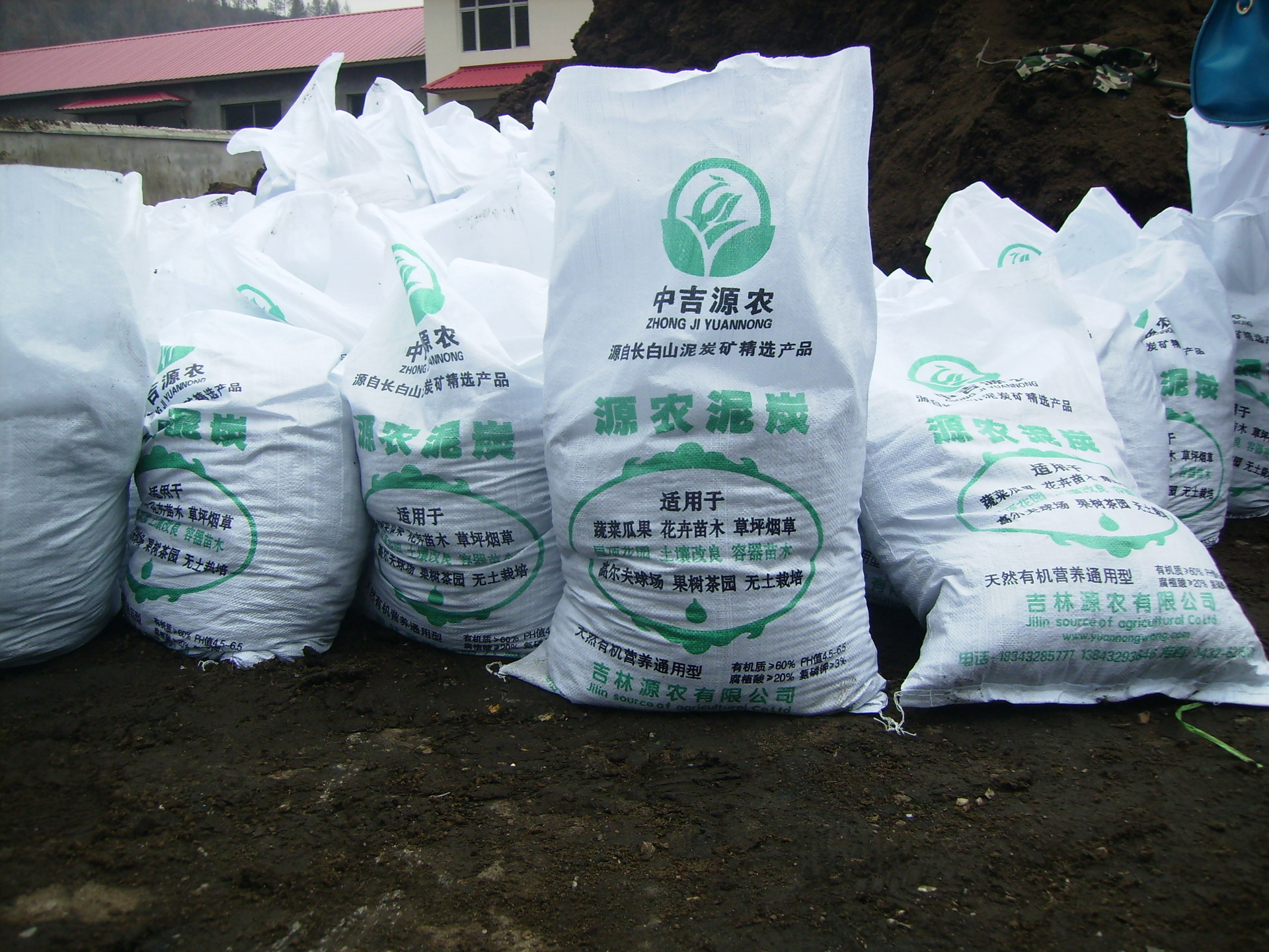 化肥在中国香蕉产业网中的关键作用与优化策略