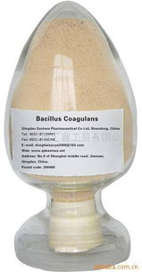 北京新风汇鑫工贸 绿色农业新选择——生物肥料与化肥产品全览